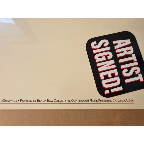 Douglas I. Busch Palm Springs, CA Collotype Print Poster Signed - Picture 7 of 7